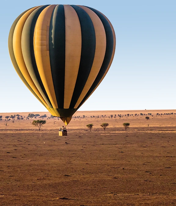 Serengeti Cost