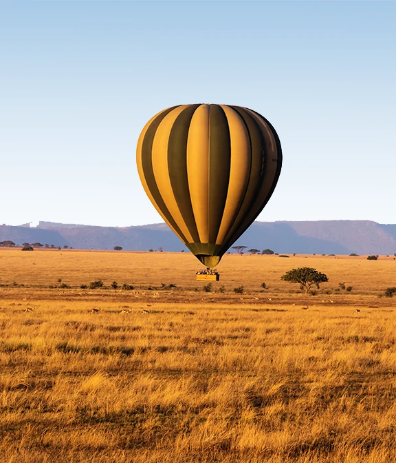 Serengeti Cost