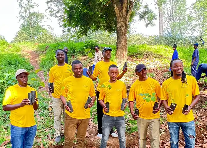 Trees planted around Kilimanjaro