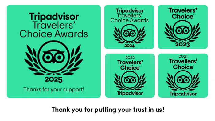 Awards and Reviews