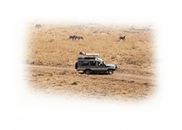 32 Reasons to Choose African Scenic Safaris
