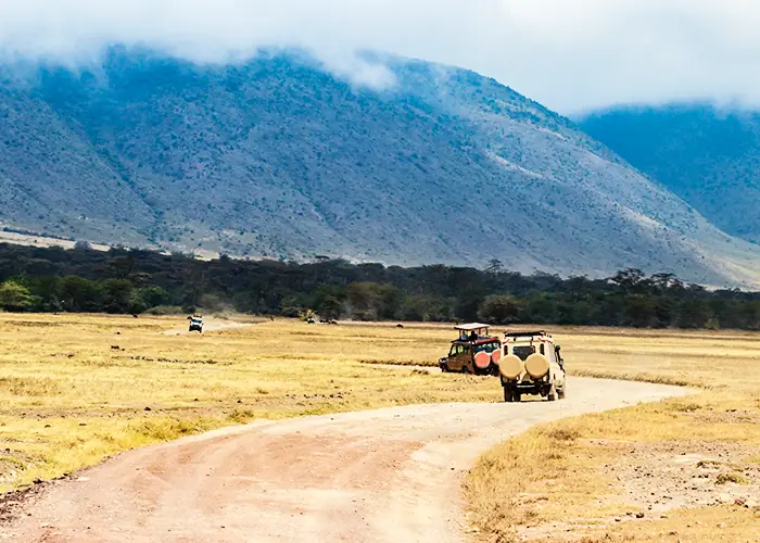 No Off-Roading or Environmental Damage
