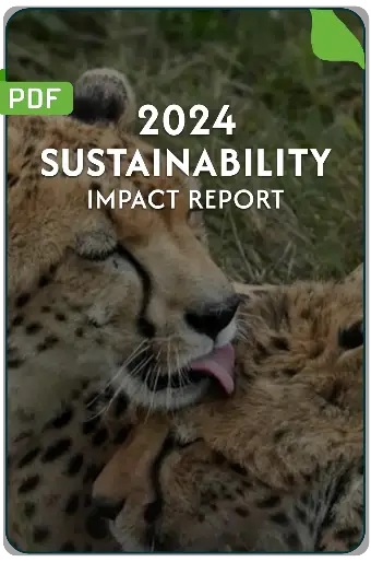 Sustainable Tanzania Safari