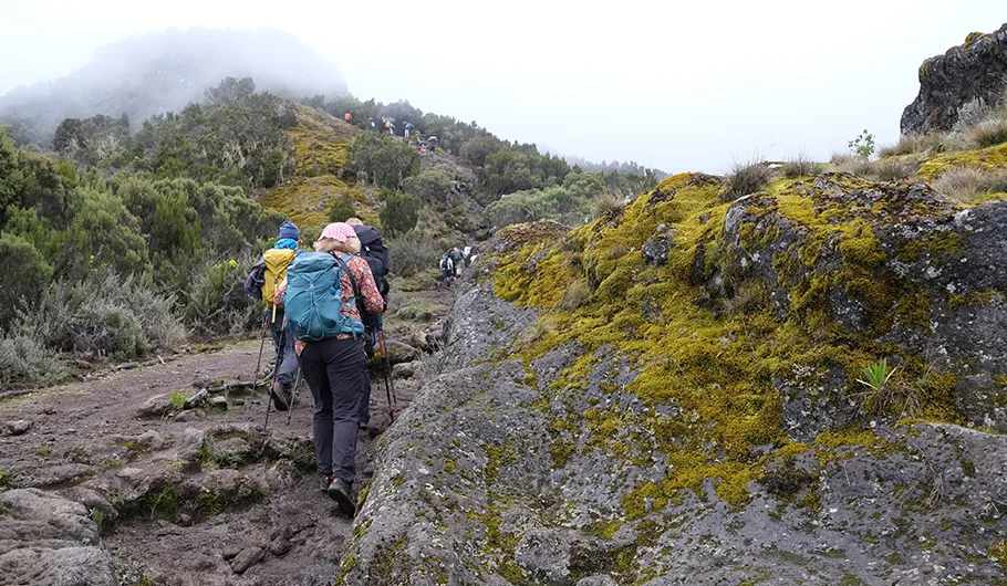 Summit Kilimanjaro