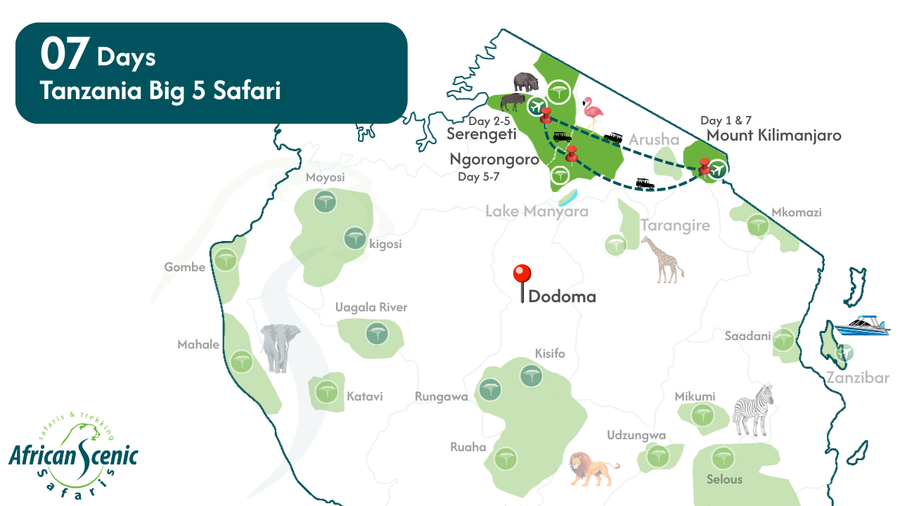 7 Days Big Five Safaris In Tanzania