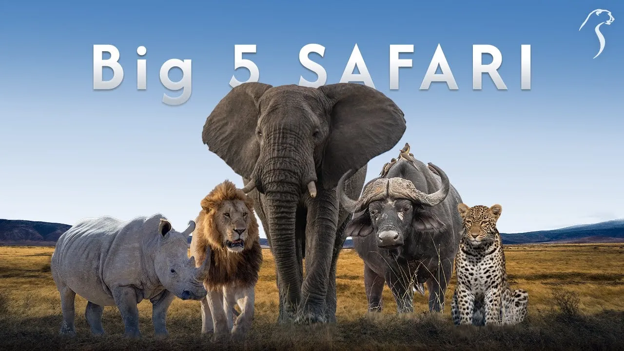 Tanzania Big Five Safari