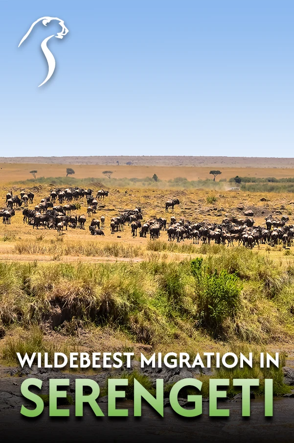 Serengeti National Park