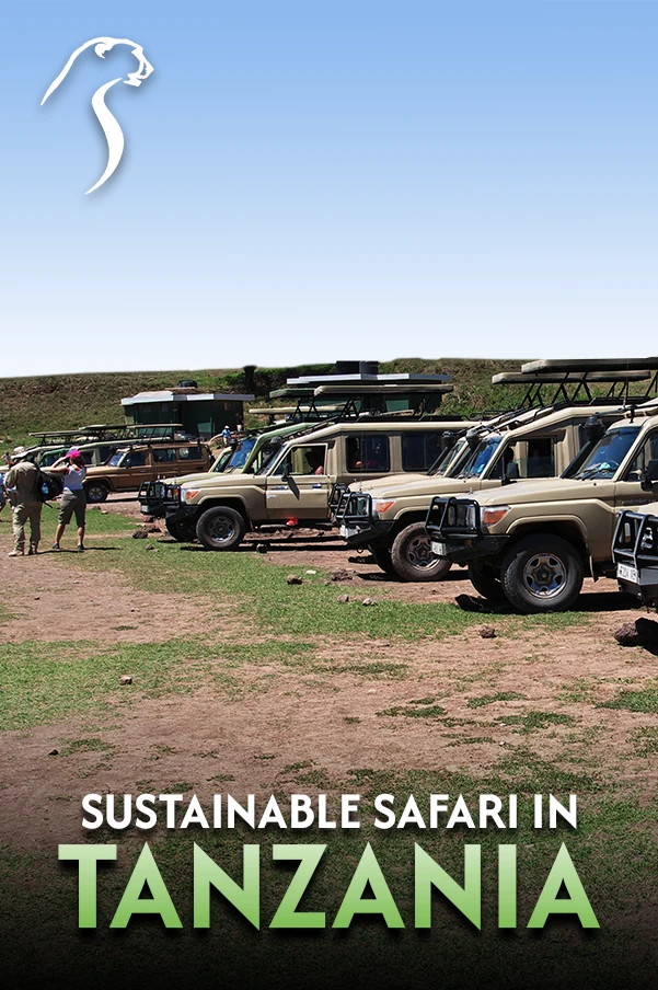 Tanzania Experience