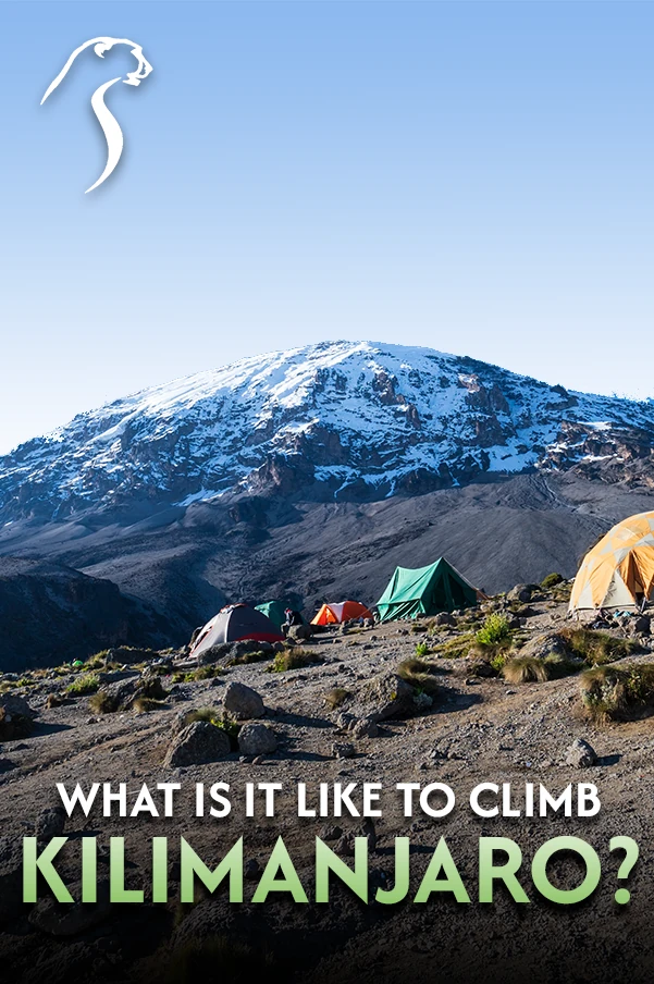 Mount Kilimanjaro Climbing