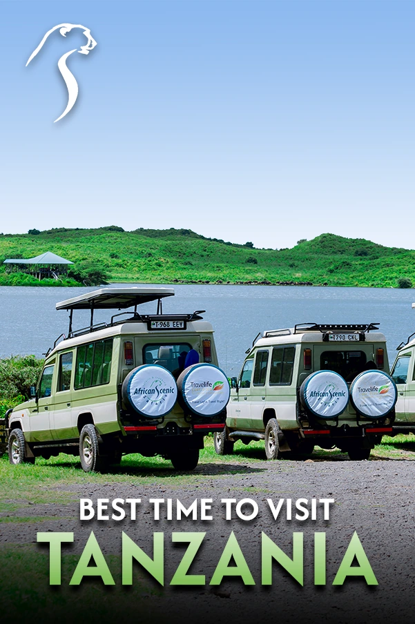 Best Time To Visit Tanzania
