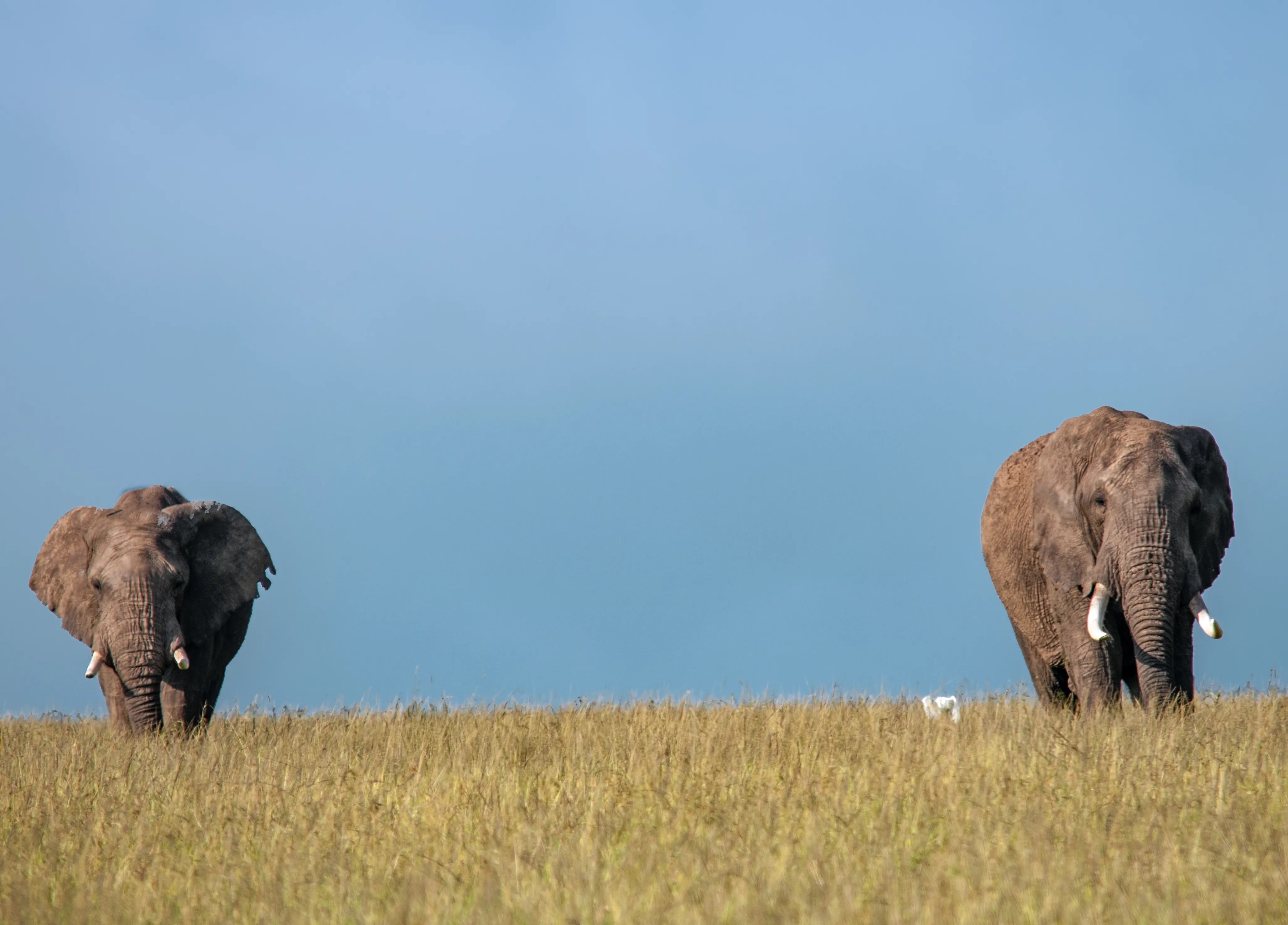 Diverse Landscapes