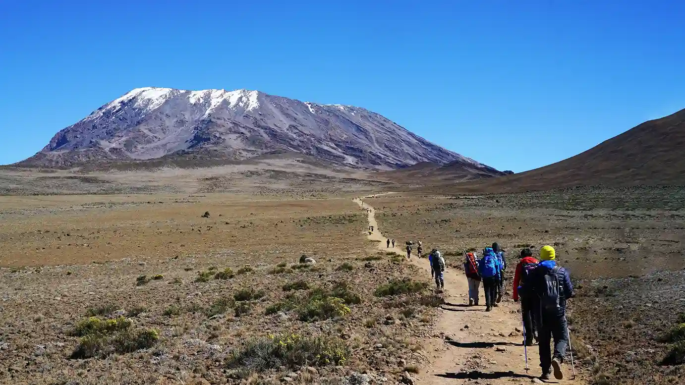Kilimanjaro Trek Lemosho Route