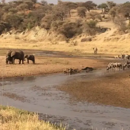 Ngorongoro Crater