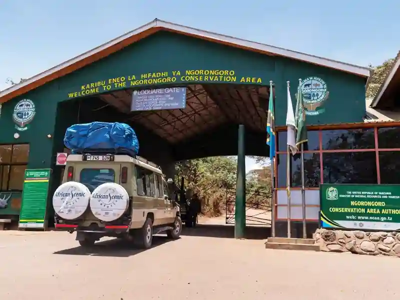 Why Travel With Us