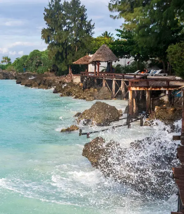 Zanzibar Only