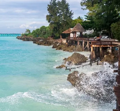 Zanzibar Only